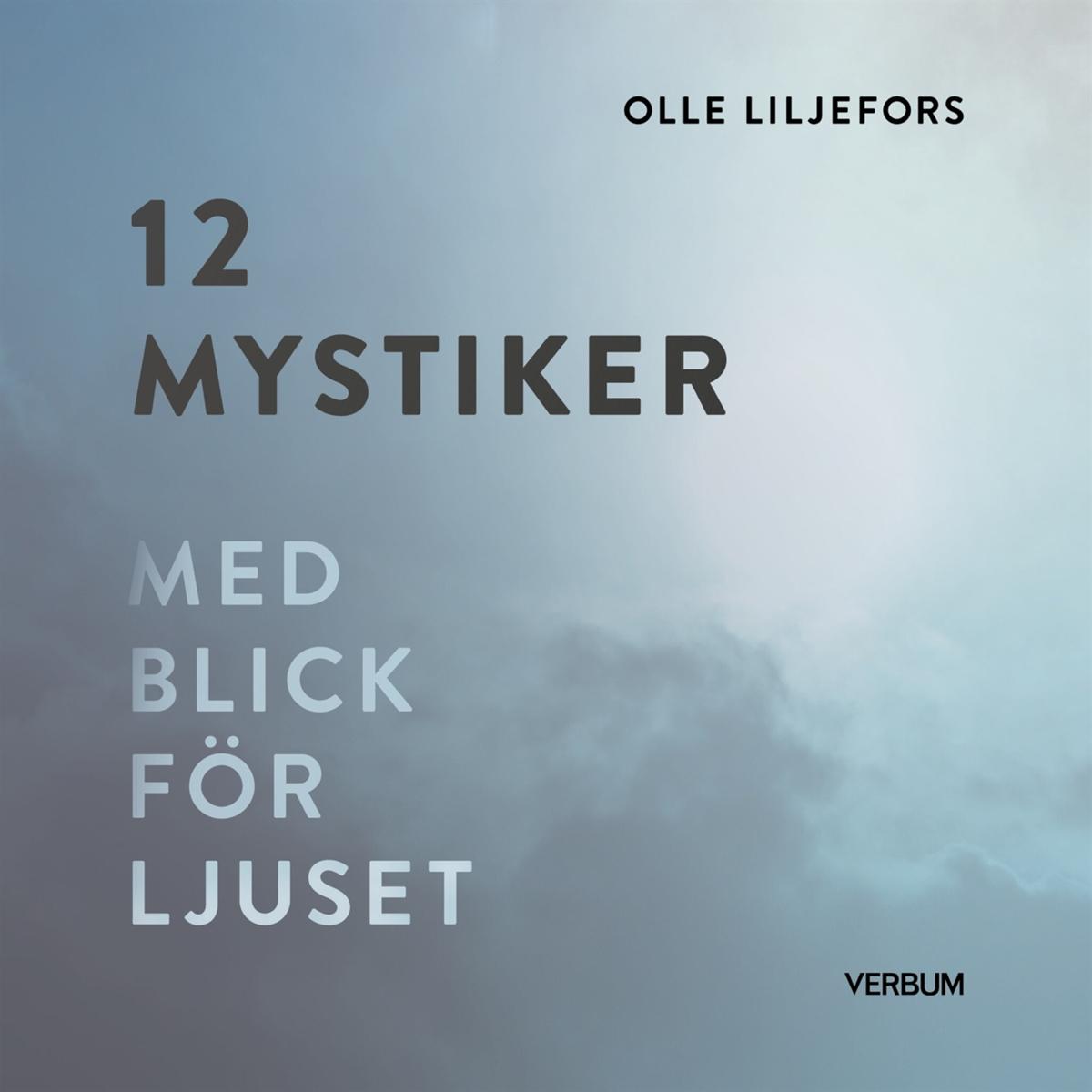 12 mystiker : med blick för ljuset