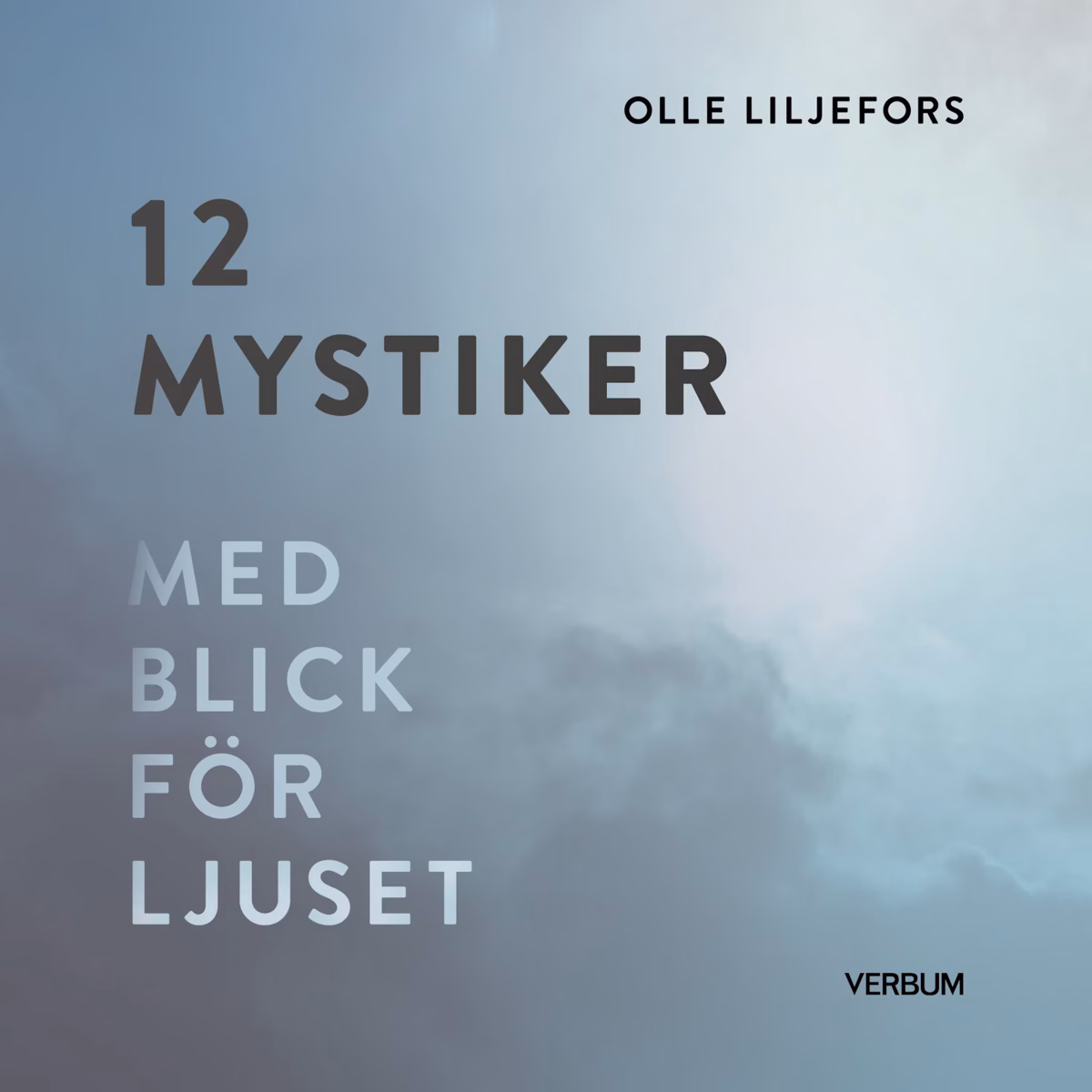 12 mystiker : med blick för ljuset